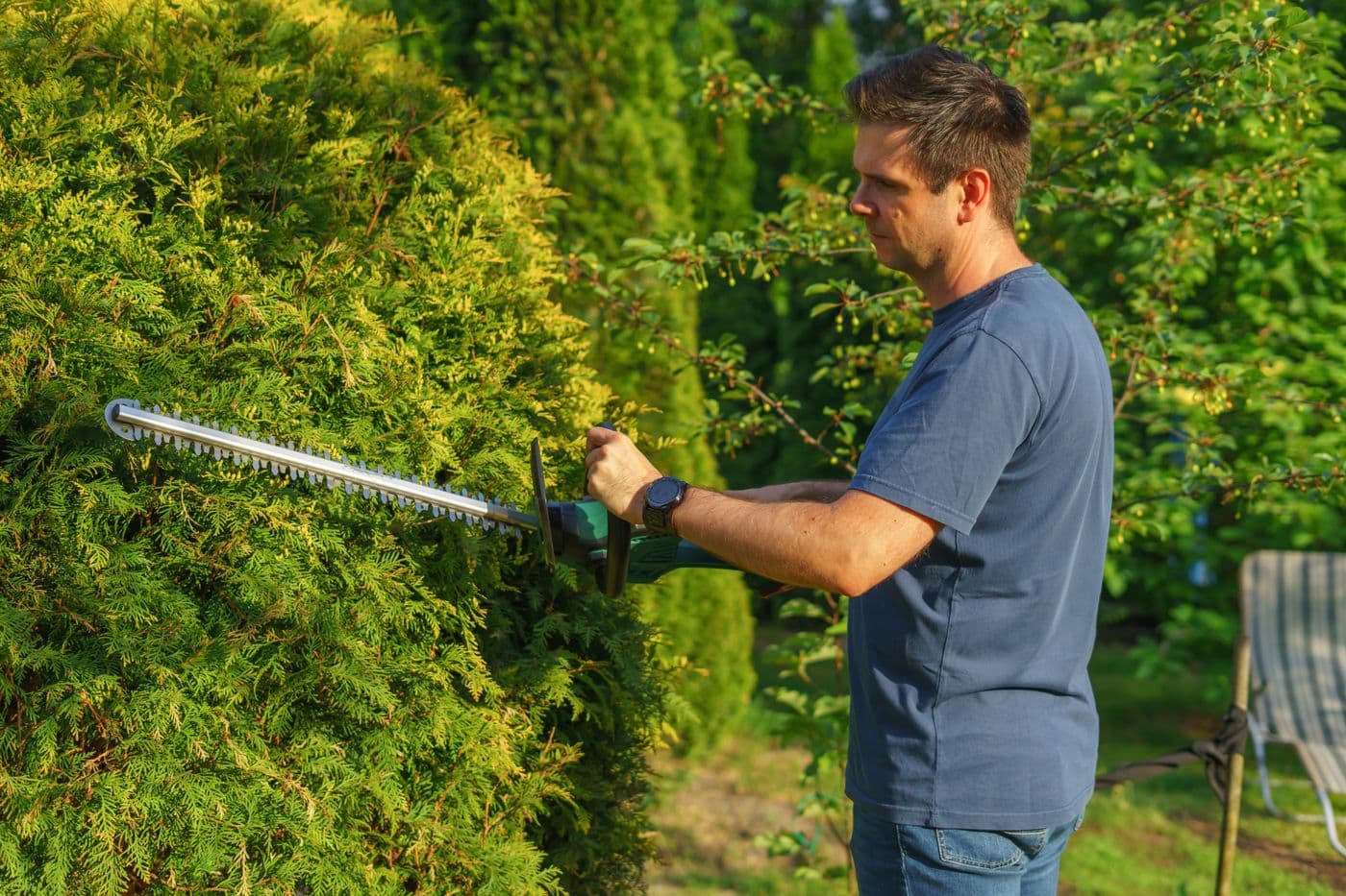 Gepflegte Hecke an einem Wohngrundstück